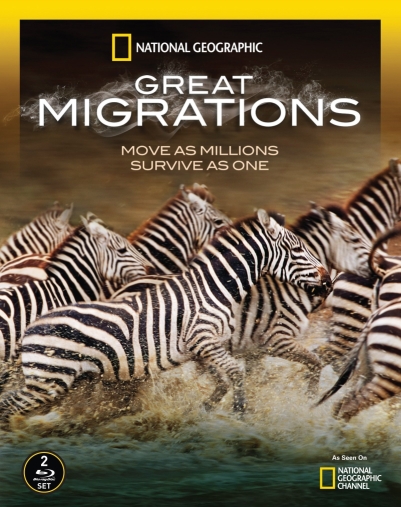 Великие миграции / National Geographic: Great Migrations (2010)