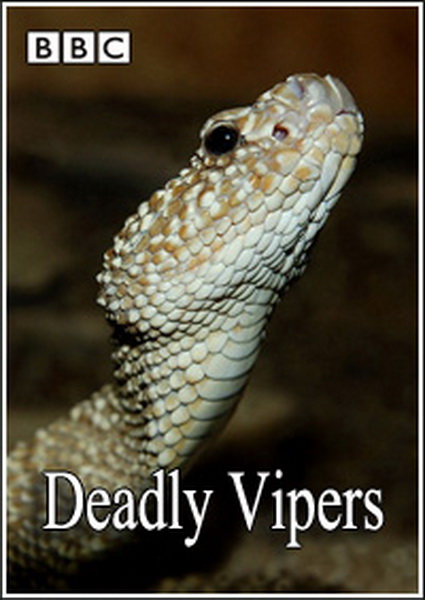BBC: Живой мир. Смертоносные змеи Индии / BBC: The Natural World. One Million Snake Bites (2011)